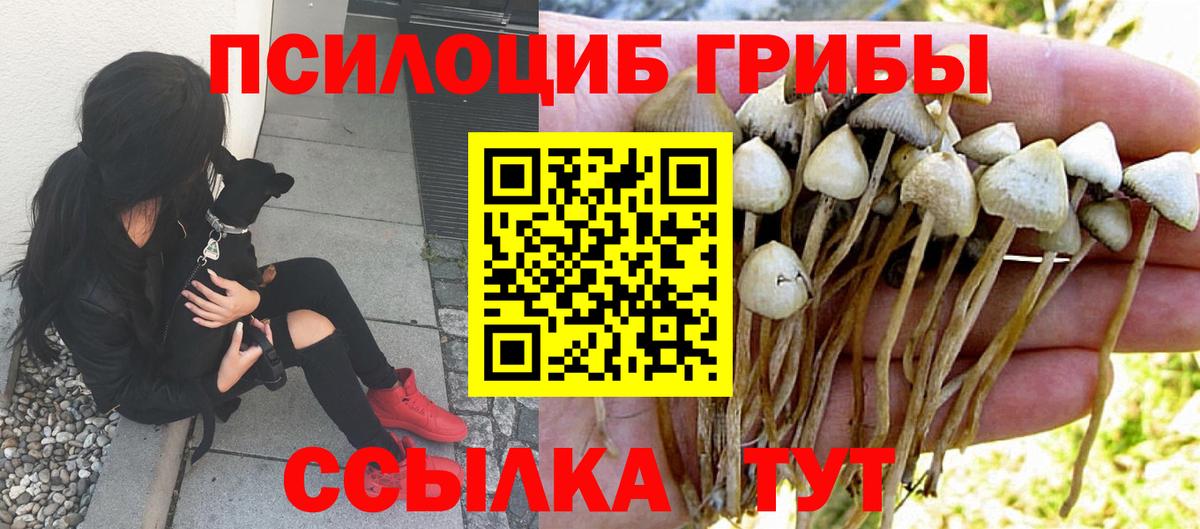 Кимовск  Псилоцибиновые грибы мицелий  Вход с VPN 