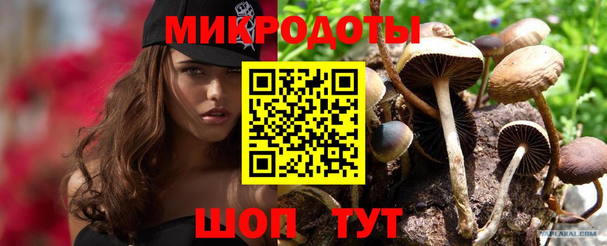 Псилоцибиновые грибы Cubensis Кимовск